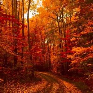 Meet your Posher, Sajila